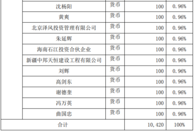自有資金對外投資 策略、優勢與風險管控