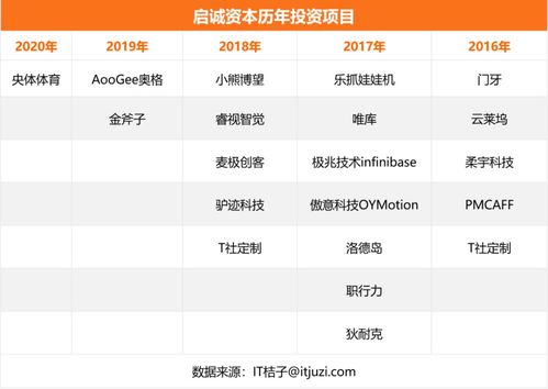 自有資金對外投資 策略、優勢與風險管控